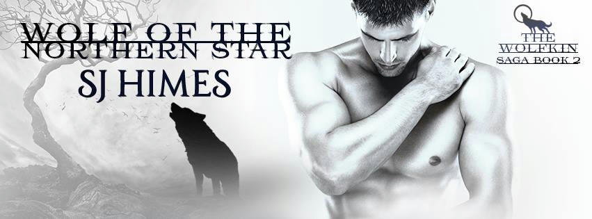 S.J. Himes - Wolf of the Northern Star Banner