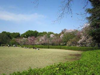 写真（神代植物公園その20）