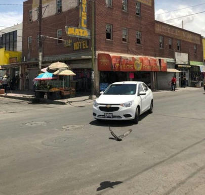 Simple, Free Image and File Hosting at MediaFire