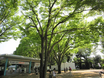 写真（神代植物公園その2）