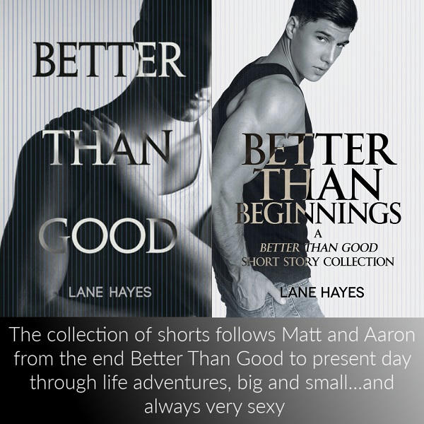 Lane Hayes - Better Than Beginnings Graphic