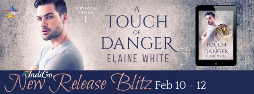 Elaine White - A Touch of Danger RB Banner