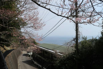 写真（伊豆山神社その18）