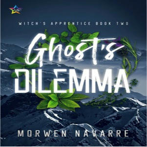 Morwen Navarre - Ghost's Dilemma Square