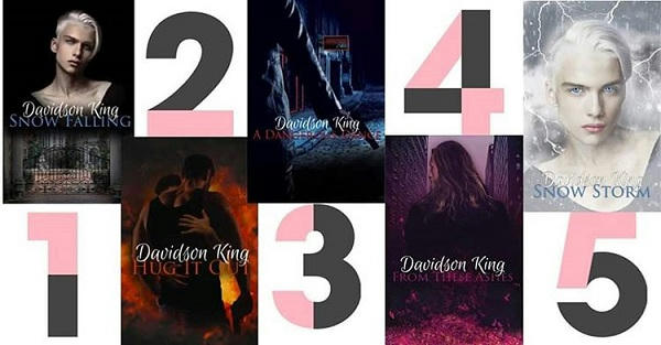 Davidson King - Haven Hart series banner