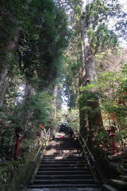 写真（箱根神社その6）