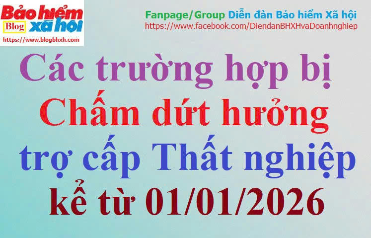 Cham dut huong TCTN 2026.jpg