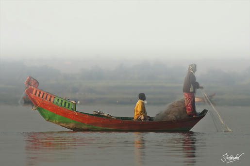 Simple, Free Image and File Hosting at MediaFire