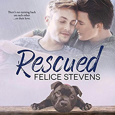 Felice Stevens - Rescued Cover Audio