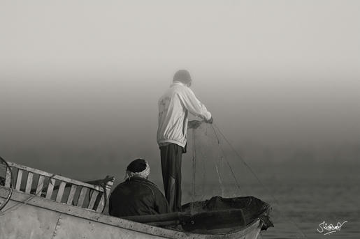 Simple, Free Image and File Hosting at MediaFire