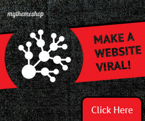 SociallyViral theme