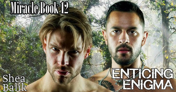 Shea Balik - Enticing Enigma Banner