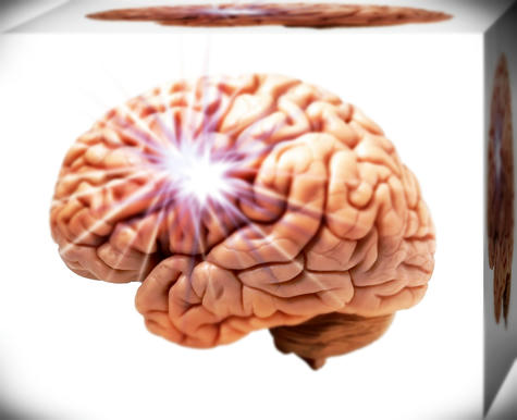  El cerebro humano / insan beyni