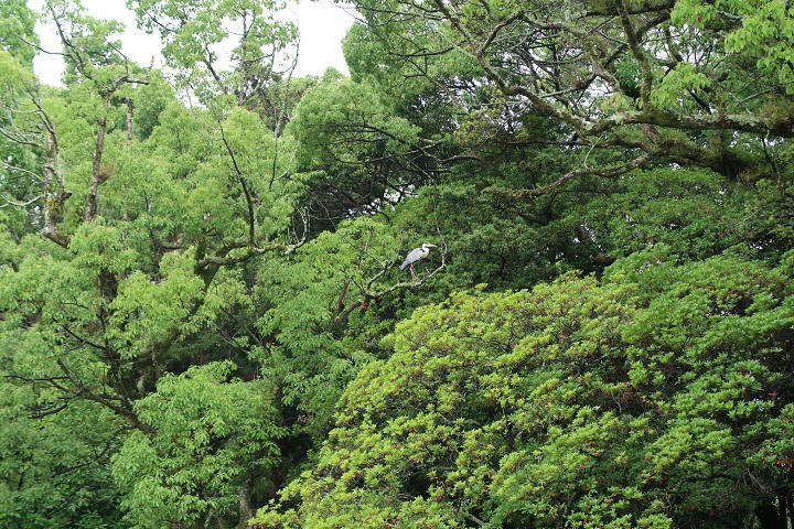 写真（宗像大社その3）