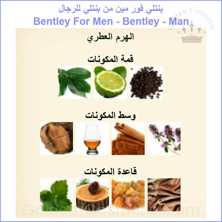 بنتلي فور مين من بنتلي للرجال Bentley For Men - Bentley - Man