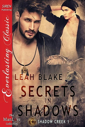 Leah Blake - Secrets In Shadows Cover