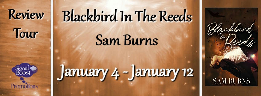 Sam Burns - Blackbird In The Reeds RTBanner