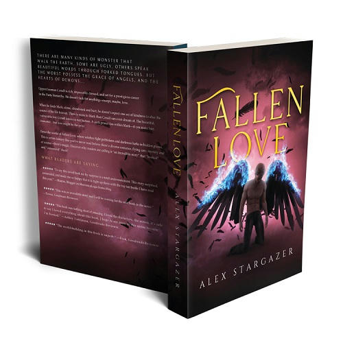 Alex Stargazer - Fallen Love 3d Paperback