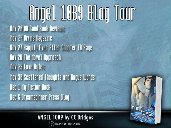C.C. Bridges - Angel 1089 blog_tour