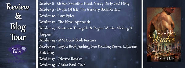 Amy Aislin - Picture Winter BlogTour Banner