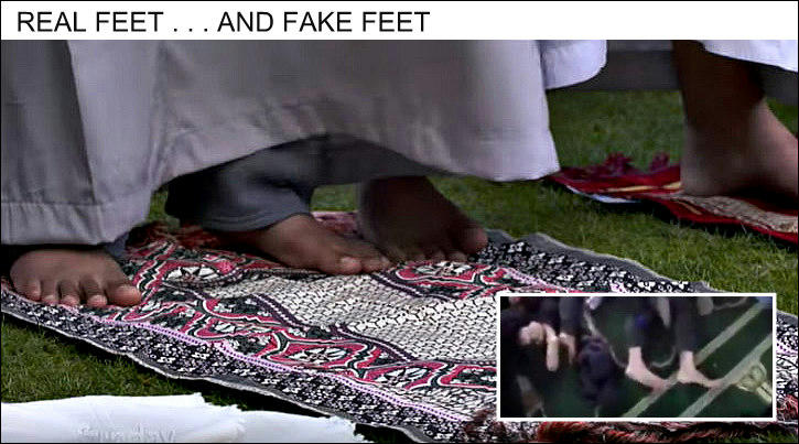 Comparison of feet