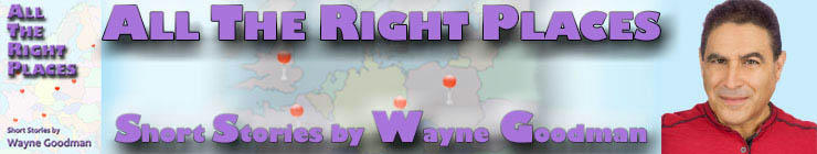 Wayne Goodman - All The Right Places Banner 2