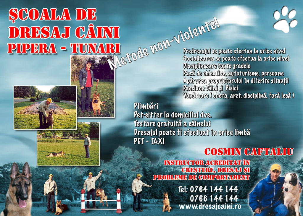 dresaj canin pipera tunari ilfov dresaj canin pipera tunari ilfov