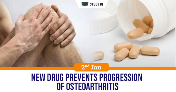 New Drug Shows Promise In Preventing Cartilage Loss From Osteoarthritis ...