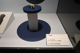写真（古代DNAその21）