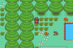 [PokeCommunity.com] Pokémon Adventure - Red Chapter NEW BETA + EXPANSION
