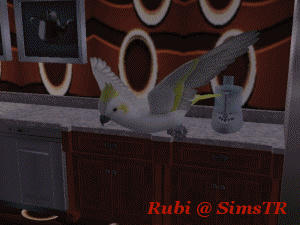 The Sims 2 Pets Parrots Flying Papağan Uçuşu