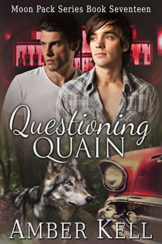 Amber Kell - Questioning Quain Cover