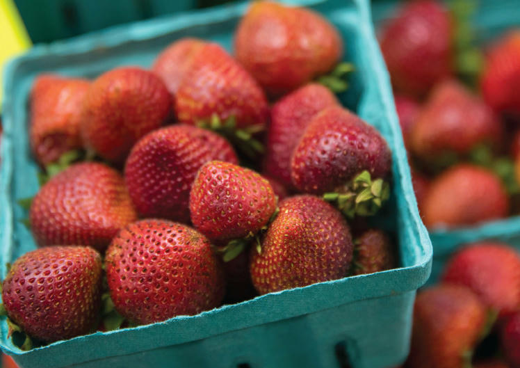 A Guide To The Allentown Farmers Market A Vibrant Hub Of Freshness And