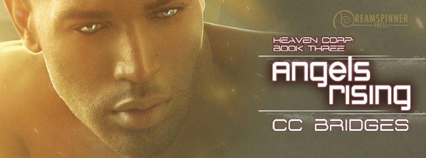 C.C. Bridges - Angels Rising Banner