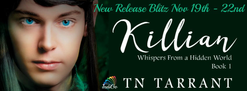 T.N. Tarrant - Killian RB Banner