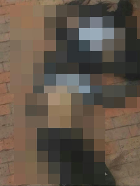  Suicidios en adolescentes, no todo es Ballena Azul