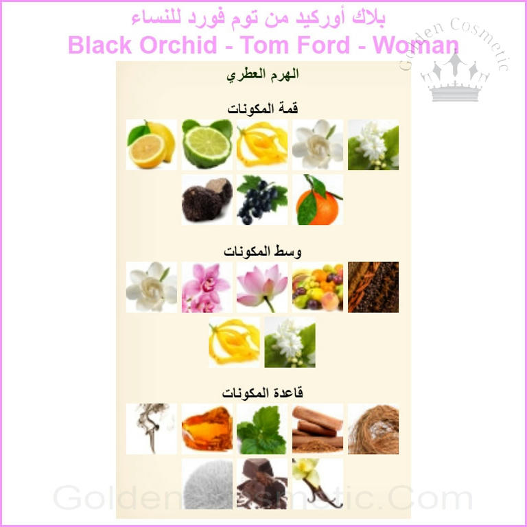 بلاك أوركيد من توم فورد للنساء Black Orchid - Tom Ford - Woman