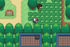 [PokeCommunity.com] Pokemon Black&White Advanced (Cancelled)