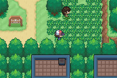 Pokemon Black&White Advanced (Cancelled)