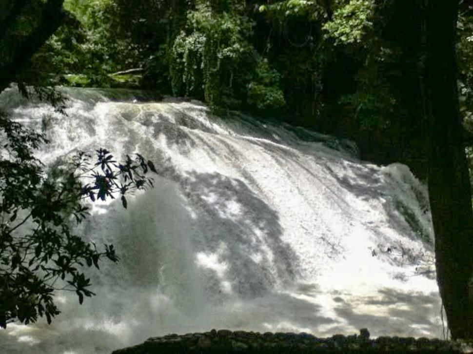 Las 10 Mejores Cascadas De México. 7 e4mri3qnvt4saw16g cascadas natura
