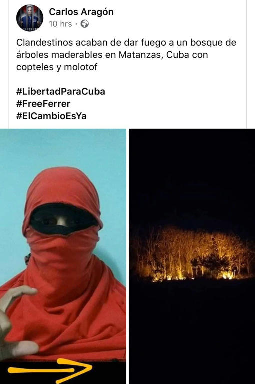 Simple, Free Image and File Hosting at MediaFire