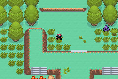 [PokeCommunity.com] Pokémon Adventure - Red Chapter NEW BETA + EXPANSION