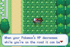 [PokeCommunity.com] Pokemon Black&White Advanced (Cancelled)
