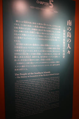 写真（古代DNAその17）
