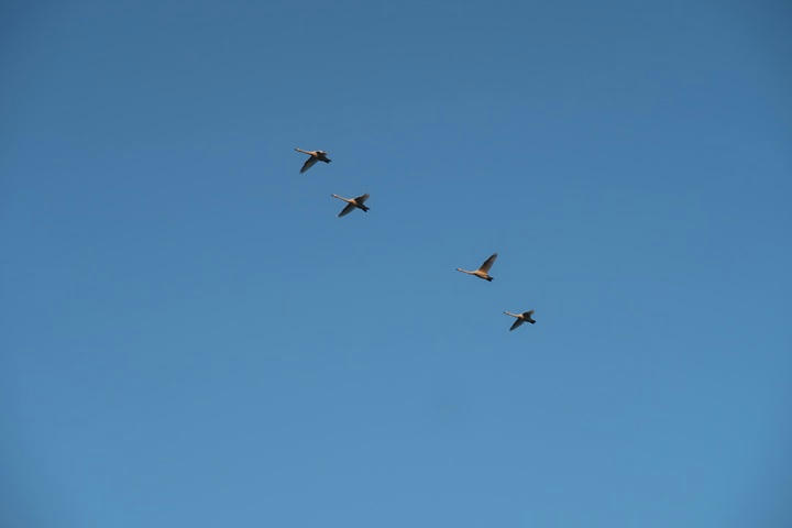 写真（夕方の天空その5）