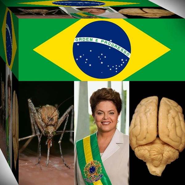  El-Virus-Zika-se-está-convirtiendo-en-un-grave-problema-de-salud-para-Brasil- debido-a-su-vinculación-con-los-casos-de-Microcefalia