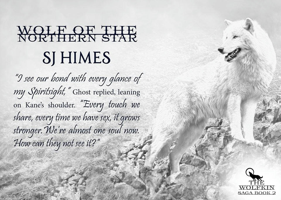 S.J. Himes - Wolf of the Northern Star teaser 3