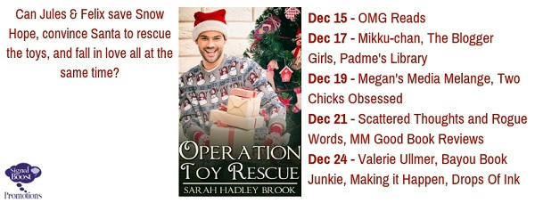 Sarah Hadley Brook - Operation Toy Rescue TourGraphic-15