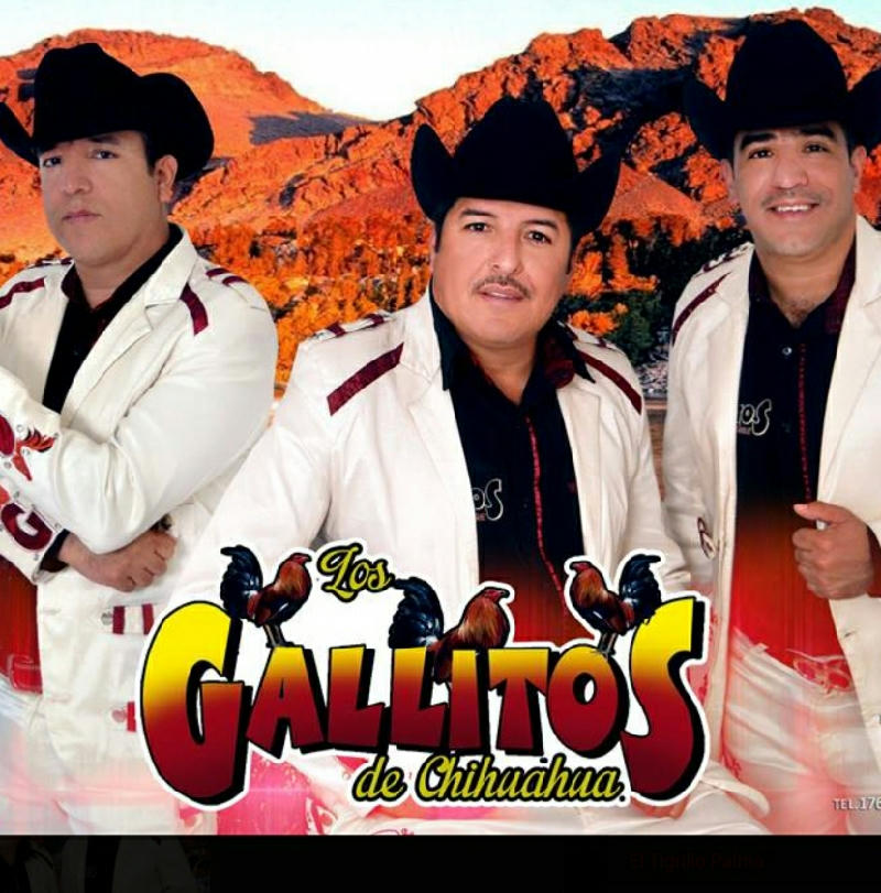 Los Gallitos De Chihuahua - El Costal Lleno De Piedras