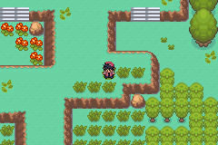 [PokeCommunity.com] Pokémon Adventure - Red Chapter NEW BETA + EXPANSION